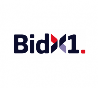 Bidx1 Auctions